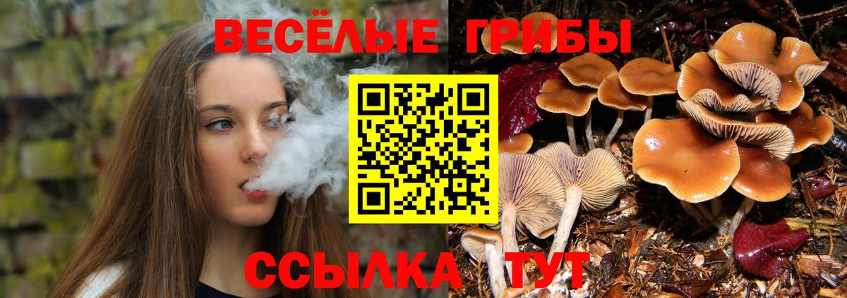 Галлюциногенные грибы Cubensis Жуковский